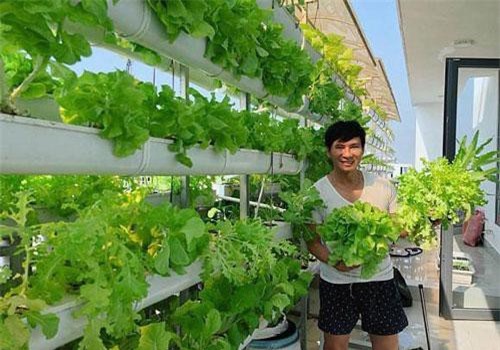 Trái ngọt sai trĩu trên sân thượng biệt thự nhà Lý Hải - Minh Hà