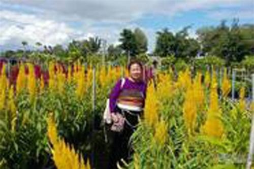 Cô gái Thái giúp nhiều người tàn tật thoát nghèo ngoạn mục