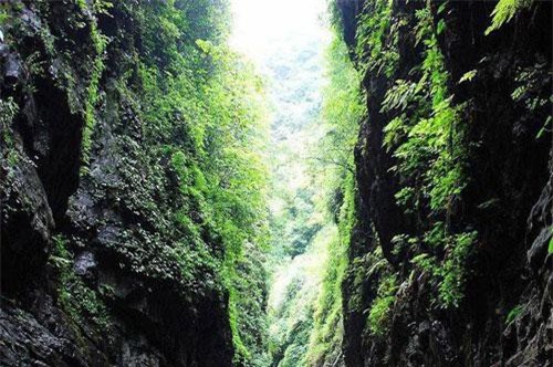 Gi&#x1EA3;i m&#xE3; b&#xED; &#x1EA9;n v&#x1EC1; &#x27;Thung l&#x169;ng ch&#x1EBF;t&#x27; mang t&#xEA;n Tre &#x110;en &#x1EDF; Trung Qu&#x1ED1;c