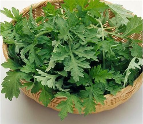 Món ăn, bài thuốc hay từ ngải cứu