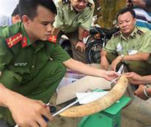 Phát hiện hành khách mang ngà voi, trầm hương từ Thái Lan về Việt Nam