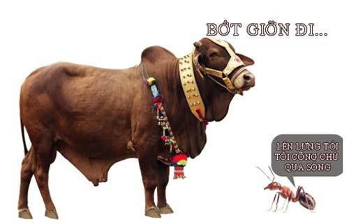 'Rối não' với câu đố mẹo hài hước