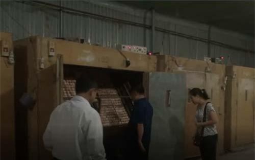 Thái Nguyên: Thu gần 3 tỷ/năm từ mô hình ấp trứng gia cầm