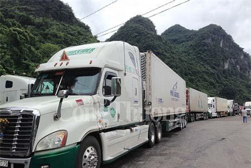 Xuất khẩu nông sản sang Trung Quốc: Doanh nghiệp cần thay đổi tư duy