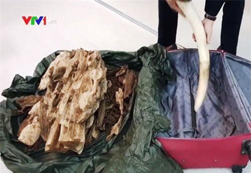 Bắt vụ vận chuyển hàng cấm qua đường hàng không