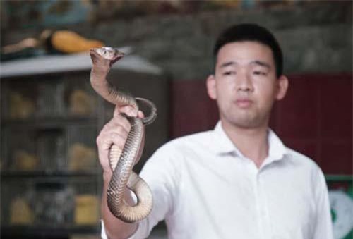 Đặc sản rắn Lệ Mật của Hà Nội lên sóng CNN