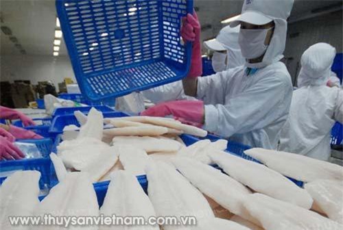 Hệ thống kiểm soát ATTP cá da trơn Việt Nam được công nhận