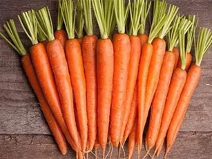 Loạt thực phẩm quen thuộc có tác dụng tránh thai tự nhiên ít người biết