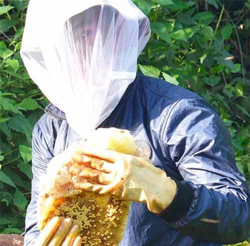 'Quái nhân' săn ong mật ở dưới lòng đất không phải trong rừng