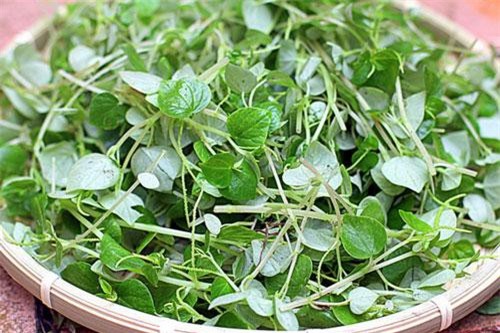 Rau càng cua có tác dụng gì tốt cho sức khỏe?