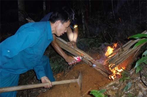 Săn loài ong kịch độc: Tìm kiếm và phục kích