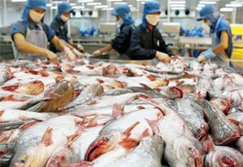 Thuế chống bán phá giá cá tra Việt Nam vào Mỹ giảm mạnh