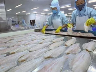 Tin vui cho xuất khẩu cá tra sang thị trường Mỹ