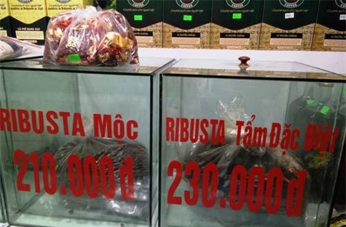 Từ nay đến cuối năm, giá cà phê sẽ còn suy giảm