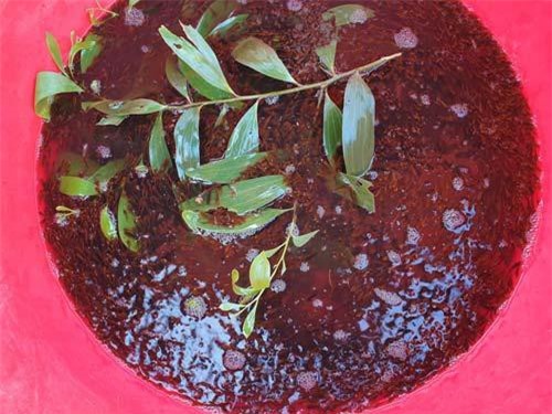 Đáng ngại: Mùa nước nổi bắt cá tận diệt, cá lóc đỏ hỏn không tha