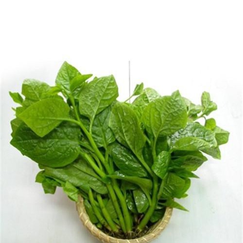 Điểm danh những loại rau không nên cho vào nồi lẩu - Hình 8 Diem danh nhung loai rau khong nen cho vao noi lau-Hinh-8