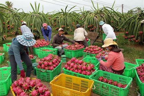 Cần xây dựng các hàng rào kỹ thuật phù hợp để bảo vệ hàng Việt