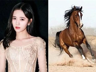 Hung tinh chiếu thẳng mệnh, 3 con giáp thị phi đầy mình, tiền mất tình tan nghiệp tàn 2020