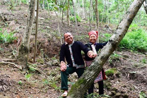 'Kho vàng' lộ thiên của cặp vợ chồng người Mông ở đỉnh mây mù