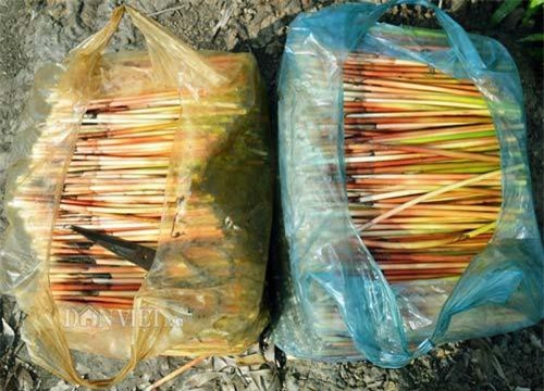 Loài cỏ mọc hoang nay là đặc sản hiên ngang trên mâm cỗ nhà giàu