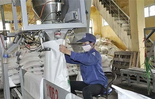 Đấu giá hạn ngạch nhập 98.000 tấn đường