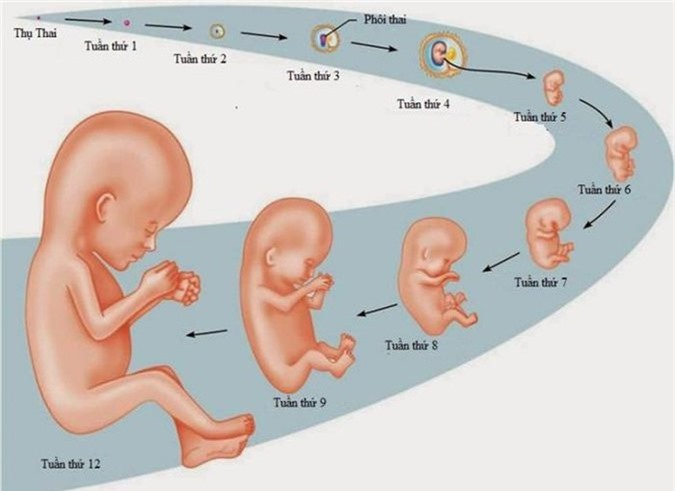 Tất tần tật những điều cần biết về đau eo lưng bên phải - Ảnh 2 dau eo lung ben phai2