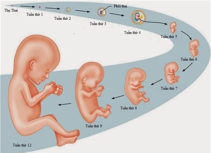 Tất tần tật những điều cần biết về đau eo lưng bên phải - Ảnh 3 dau eo lung ben phai3