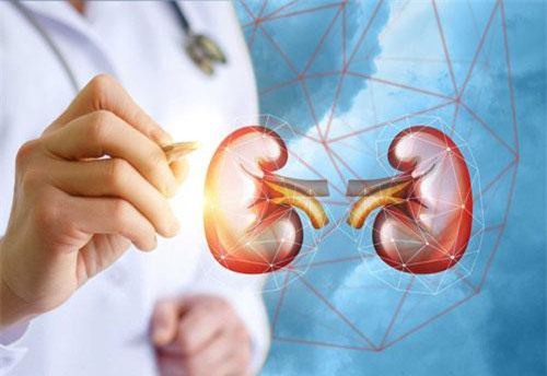 Bệnh thận và những điều đơn giản bạn cần biết để tránh