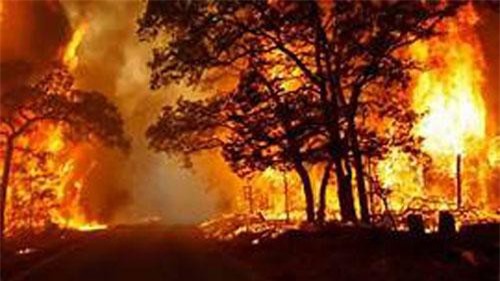 Australia ban bố tình trạng khẩn cấp do cháy rừng
