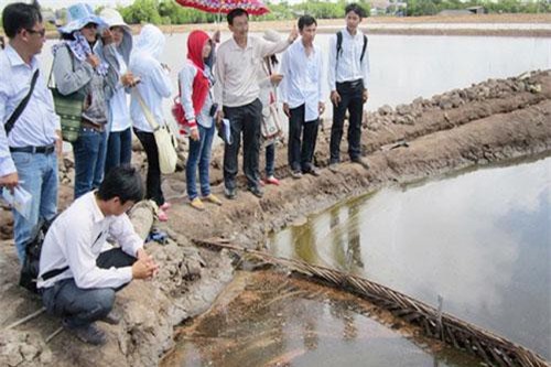 Bạc Liêu: Hỗ trợ nông dân khởi nghiệp hiện đại