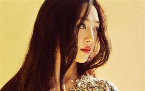 Đạo luật Sulli sẽ được đề xuất trước Quốc hội Hàn Quốc