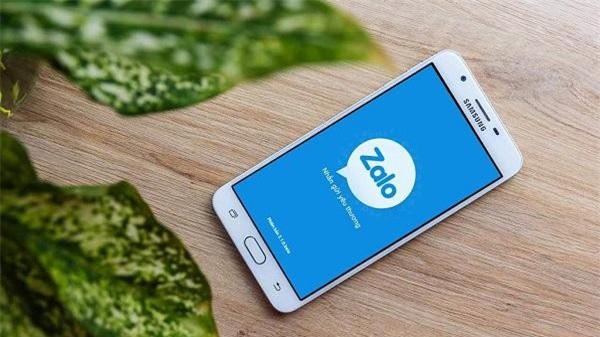 Hoạt động mạng xã hội không phép, Zalo bị tạm ngưng tên miền zalo.vn