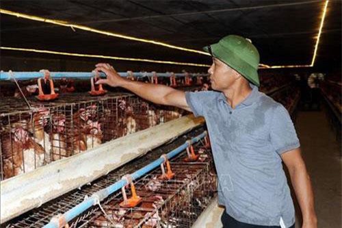 Nam Định: Con đường trở thành tỉ phú của nhà nông trẻ Nguyễn Văn Công