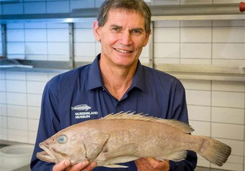 Loài cá chưa từng được biết trong khoa học, ăn vào nức nở khen ngon