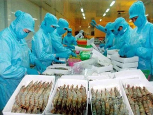 Xuất khẩu tôm 6 tháng cuối 2019: DN Việt có lợi thế hơn so với nhiều quốc gia