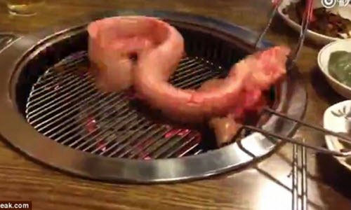 'Phẫn nộ' trước cảnh cho lươn sống quằn quại trên lò nướng