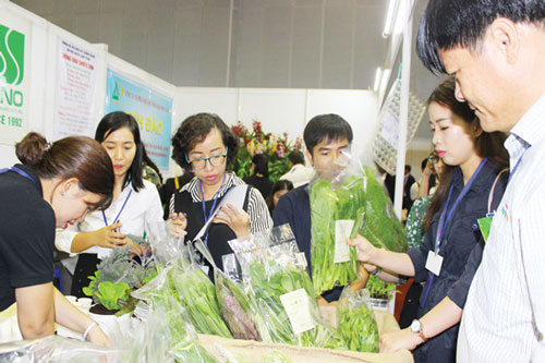 Bảo hộ nhãn hiệu giúp nông sản HTX vươn xa