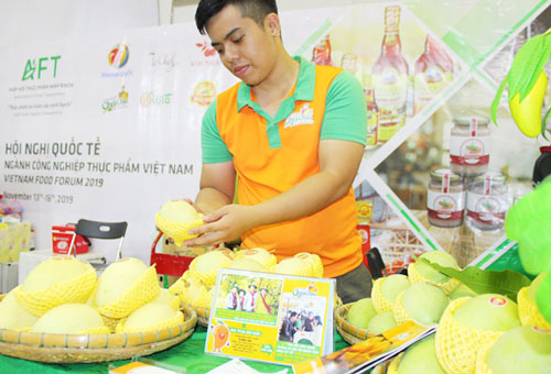 Trái cây Việt cần đầu tư chế biến sâu, không thể mãi xuất thô