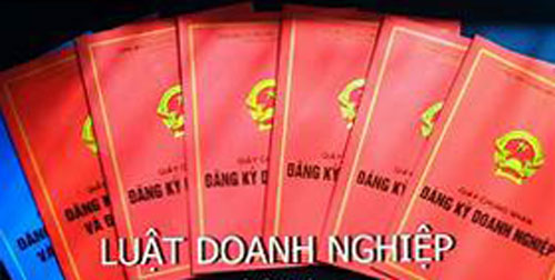 Có nên bổ sung "hộ kinh doanh" vào Luật Doanh nghiệp sửa đổi?
