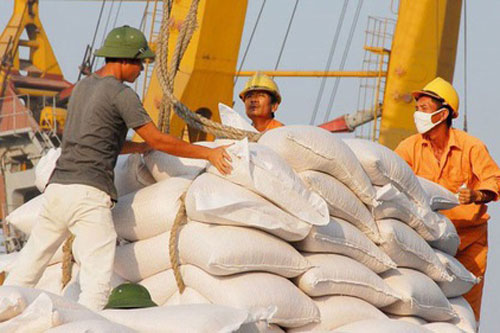 Khối lượng xuất khẩu gạo 10 tháng 2019 ước đạt 5,56 triệu tấn,giảm 9,1% về giá trị so với cùng kỳ năm 2018.