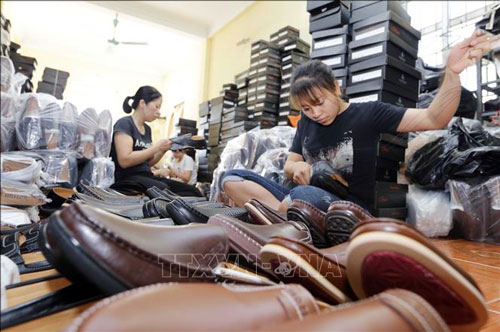 Giày da Việt Nam thu hút các bạn hàng quốc tế