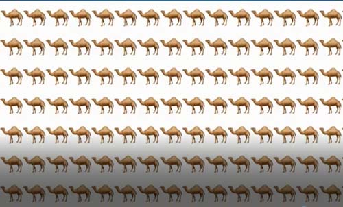 CLIP: Thử tài tinh mắt với 8 câu đố tìm lỗi sai