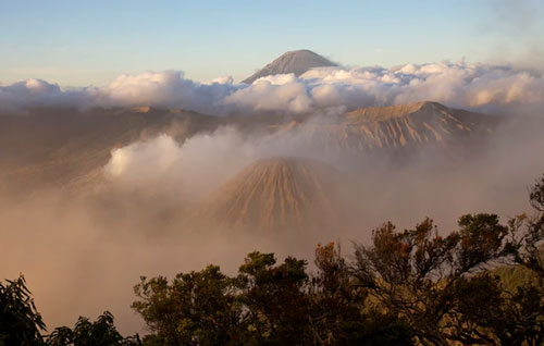 Các nhà khoa học đã tìm ra một "thế giới kỉ Jura" ngay bên dưới nước Úc
