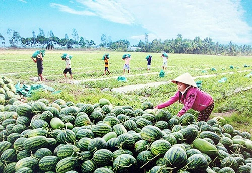 Ảnh minh họa. (Nguồn: Báo CAND)