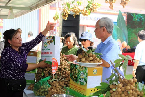 Người tiêu dùng mua đặc sản Nhãn lồng Hưng Yên ngay tại Tuần lễ.