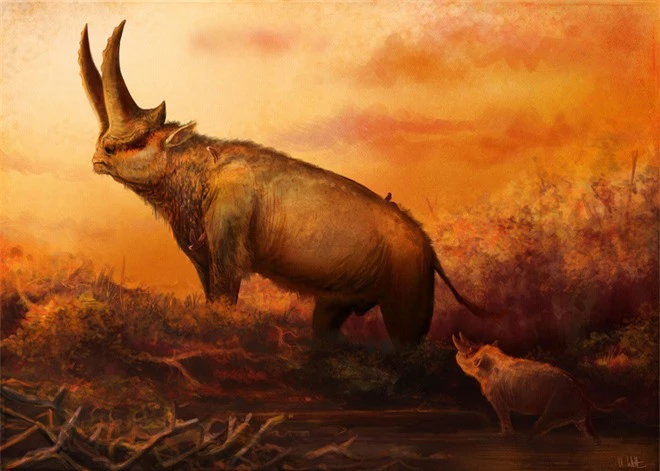 Có thể bạn chưa biết, tổ tiên của voi và tê giác cổ đại có vẻ ngoài quái dị hơn ngày nay nhiều! - Ảnh 8.