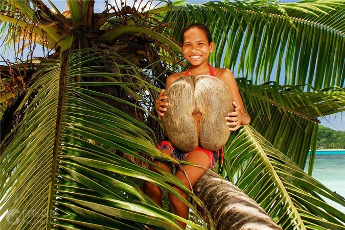 “Nong mat” voi trai cay hinh vong 3 ngon ngon goi cam-Hinh-7