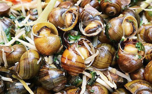 Ăn loại ốc này vào mùa thu đông không chỉ ngon mà còn chữa được vô số bệnh hay ho thế này!