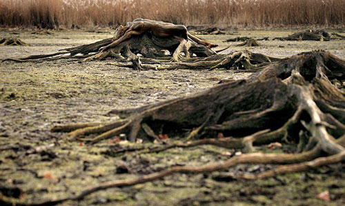 Ngỡ ngàng cơ thể trần trụi hóa tác phẩm nghệ thuật