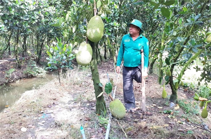 an giang: chong nang trong mit thai, hai trai phai dung thuyen cho hinh anh 1